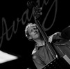John Scofield quartet Avantgarde Jazz Festival in Rovinj 2012 6