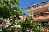 Apartments Sonja Apartments Sonja