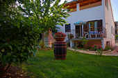 Apartment Rosa Apartment Rosa