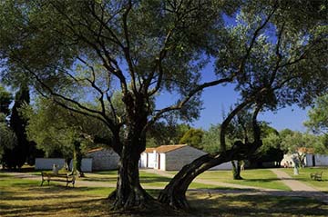 Resort Villas Rubin - Rovinj