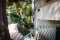 Apartman A2 - Rovinj 10
