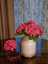 Apartman Kristy - Rovinj 5