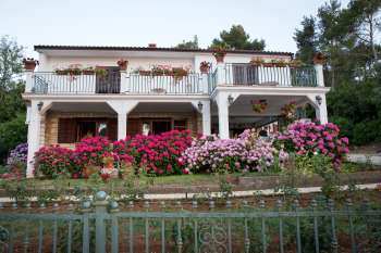 Vila Matohanca - Rovinj, Matetić - Ronjgov Ivana 8 1