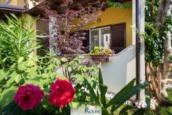 Apartments Tina - Rovinj