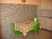 Apartment Arijana - Rovinj 3