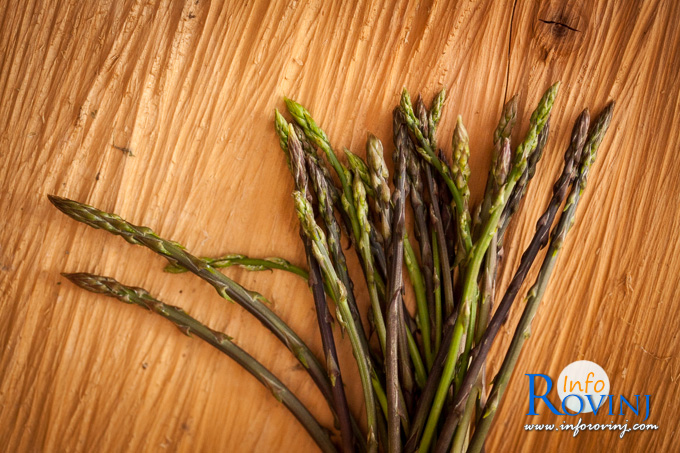 The wild asparagus (Asparagus acutifolius)