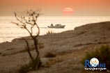 Foto galleria - spiagge a Rovigno 3