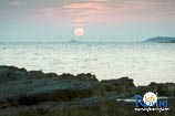 Foto galleria - spiagge a Rovigno 14