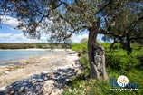 Foto galleria - spiagge a Rovigno 17