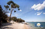 Photo gallery of Rovinj - Rovinj beaches 27