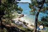 Foto galleria - spiagge a Rovigno 44