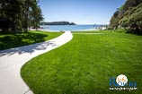 Photo gallery of Rovinj - Rovinj beaches 47