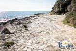 Beaches in Rovinj: Tourist settlemet Amarin 8