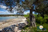 spiagge a Rovigno: Baia Cisterna / Baia Bacvice 8