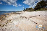 Beaches in Rovinj: Bay Cisterna / Bay Bacvice 10