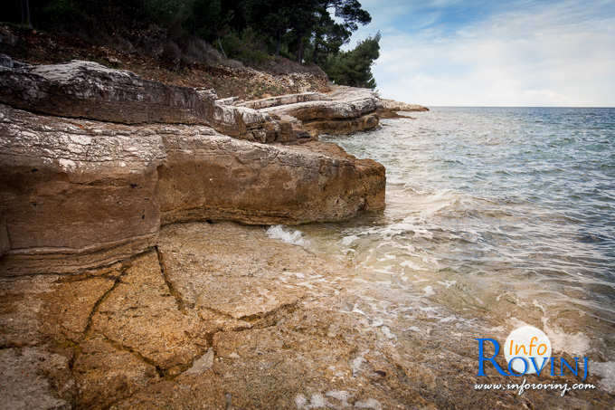 spiagge a Rovigno: isola rossa - l'isola di Sant'Andrea