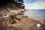 spiagge a Rovigno: isola rossa - l'isola di Sant'Andrea 2