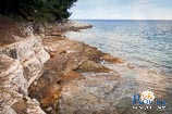 spiagge a Rovigno: isola rossa - l'isola di Sant'Andrea 3