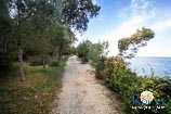 Beaches in Rovinj: Red Island - St. Andrew Island 6