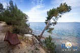 Beaches in Rovinj: Red Island - St. Andrew Island 7