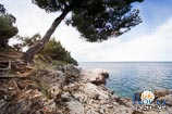 Photo gallery of Rovinj - Red Island 9