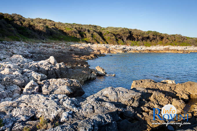 Beaches in Rovinj: Bay Dagita