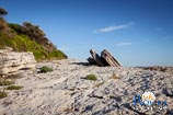 spiagge a Rovigno: Baia Dagita 1