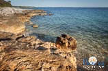 Beaches in Rovinj: Bay Dagita 4