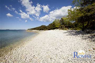 Bay  Cisterna