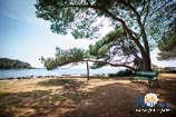 Beaches in Rovinj: Bay Cuvi 4