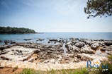 Beaches in Rovinj: Bay Cuvi 5