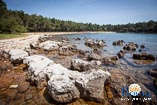 spiagge a Rovigno: Baia Cuvi 7