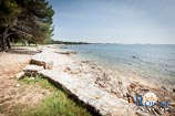 Photo gallery of Rovinj - Bay Cuvi 23