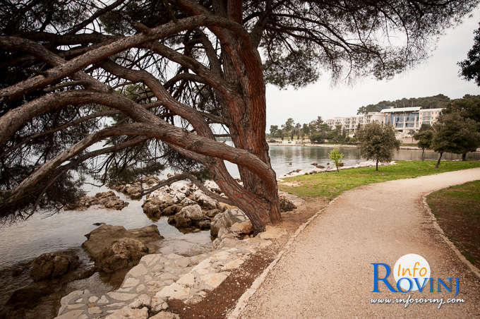 Beaches in Rovinj: Bay Lone