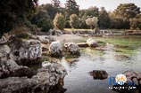 Beaches in Rovinj: Bay Lone 4