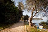 Photo gallery of Rovinj - Bay Lone 8