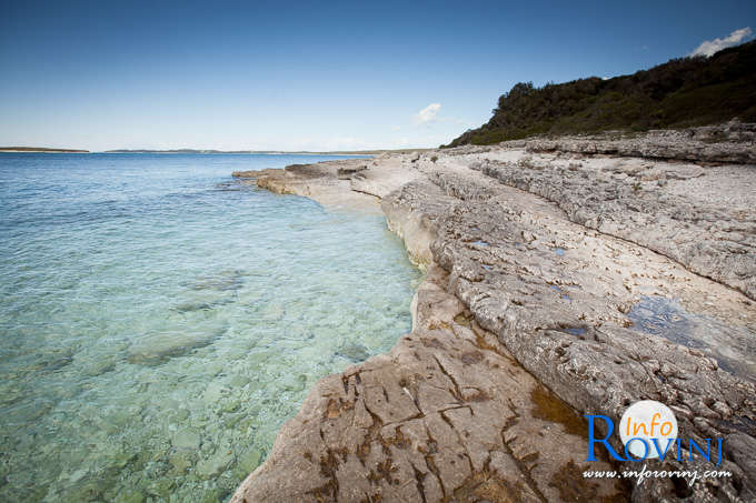 spiagge a Rovigno: promontorio Gustinja