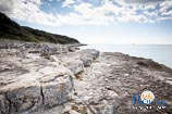 spiagge a Rovigno: promontorio Gustinja 1