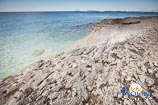 spiagge a Rovigno: promontorio Gustinja 4