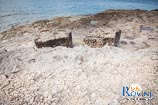 Beaches in Rovinj: Cape Gustinja 5