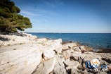 Beaches in Rovinj: Skaraba 0