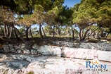 Beaches in Rovinj: Skaraba 1