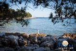 Photo gallery of Rovinj - Skaraba 27