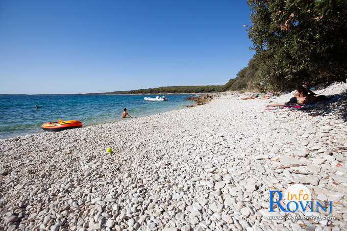 Strände um Rovinj: Bucht Gustinja