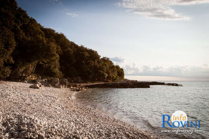 spiagge a Rovigno: Baia Gustinja 2