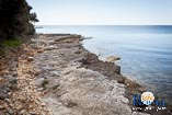 spiagge a Rovigno: Baia Gustinja 5