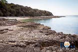 Beaches in Rovinj: Bay Gustinja 7