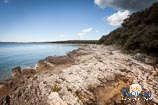 spiagge a Rovigno: Baia Gustinja 8