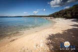 spiagge a Rovigno: Baia Gustinja 12