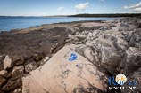 Beaches in Rovinj: Bay Gustinja 14